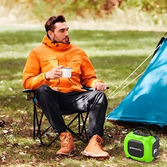 Беспроводная акустическая система Greenworks GPT-MNBS 24V с гибридным питанием, без АКБ и ЗУ