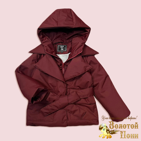 Куртка девочке (2-7) 260310-W1189