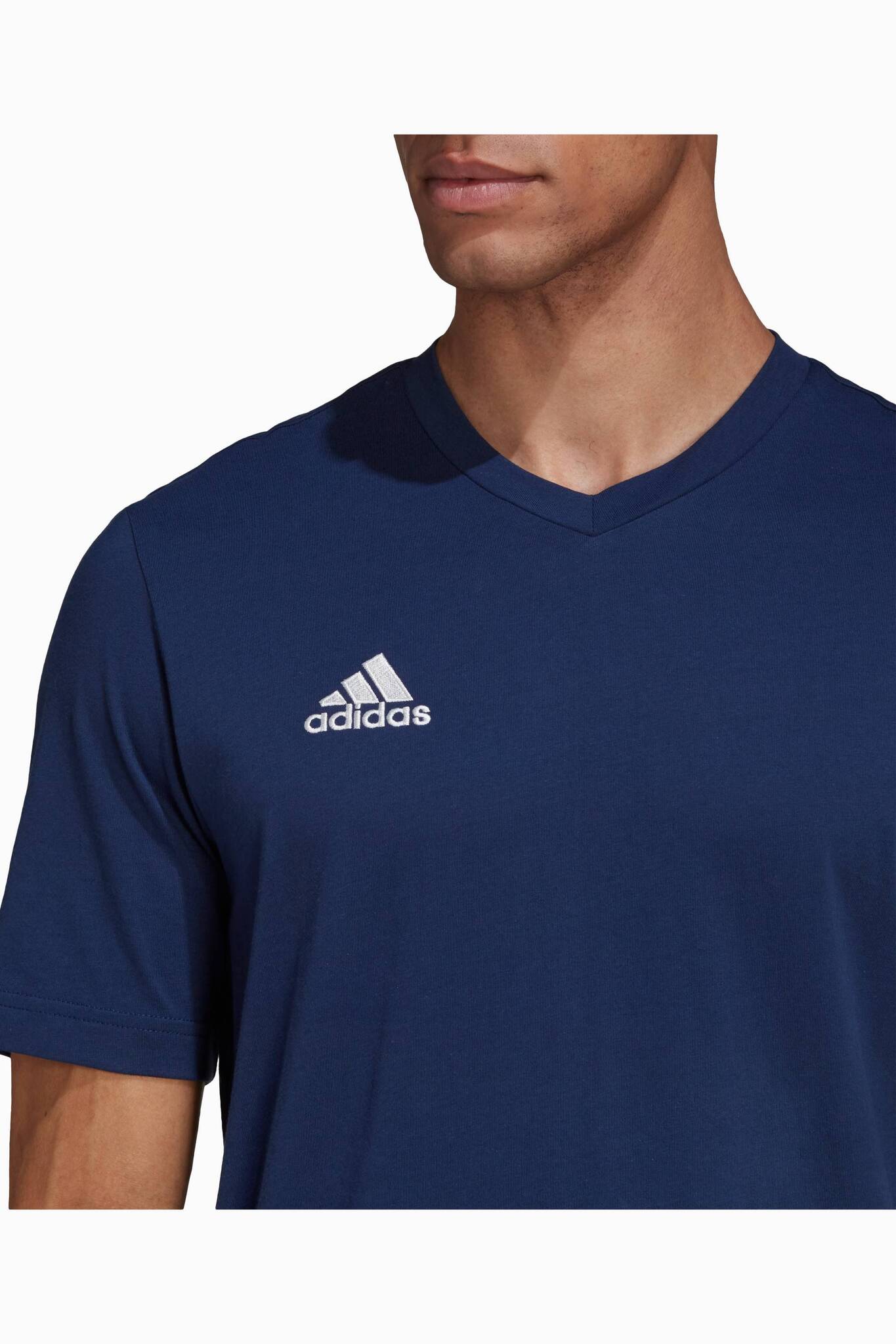 Adidas entrada tee hotsell