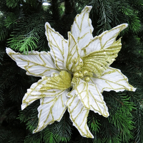 Пуансеттия на клипсе 30см House of seasons белая с золотом