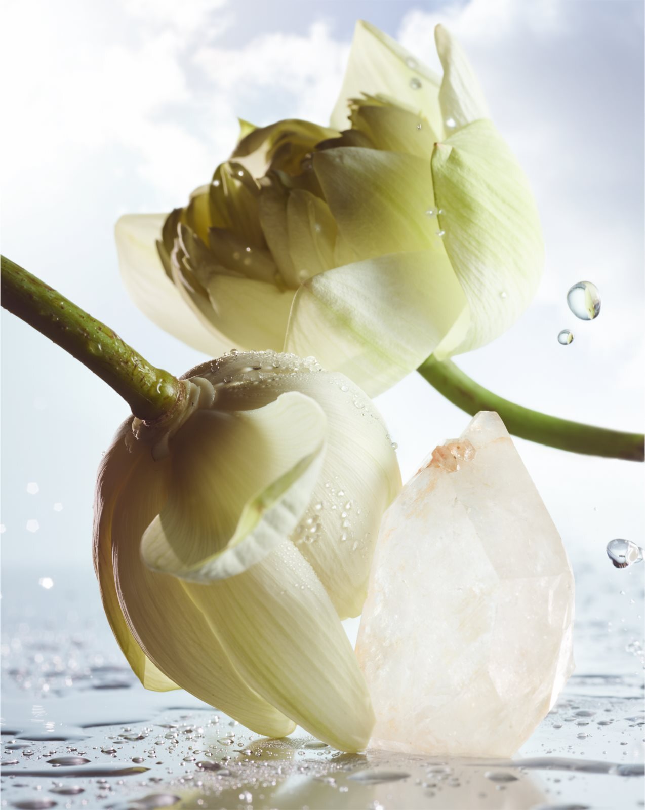 Bvlgari man in white 2025