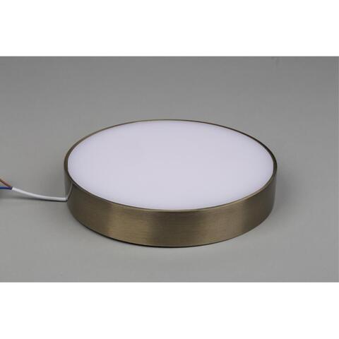 Потолочный светодиодный светильник Aployt Evon APL.0114.29.24