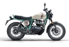 Royal Enfield Bear 650 Two Four Nine (Premium)