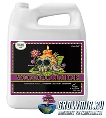 Voodoo Juice (5л)