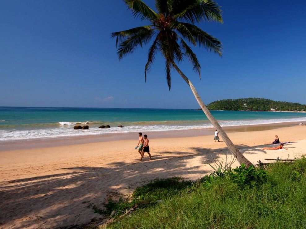 Пляжный отдых в декабре. Лазурное море Мирисса Шри Ланка. Sandy Cove Beach Шри Ланка. Шри Ланка Мирисса вайн шоп. Шри-Ланка пляж Сэнди.