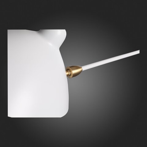 Светильник настенный ST Luce Spruzzo SL305.501.01
