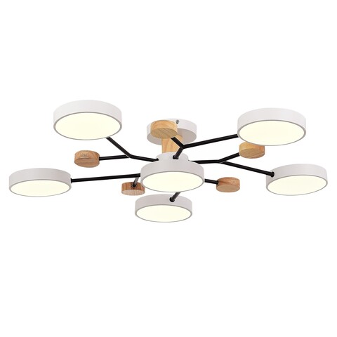 Светильник потолочный Evoluce Faema SLE6006-502-06