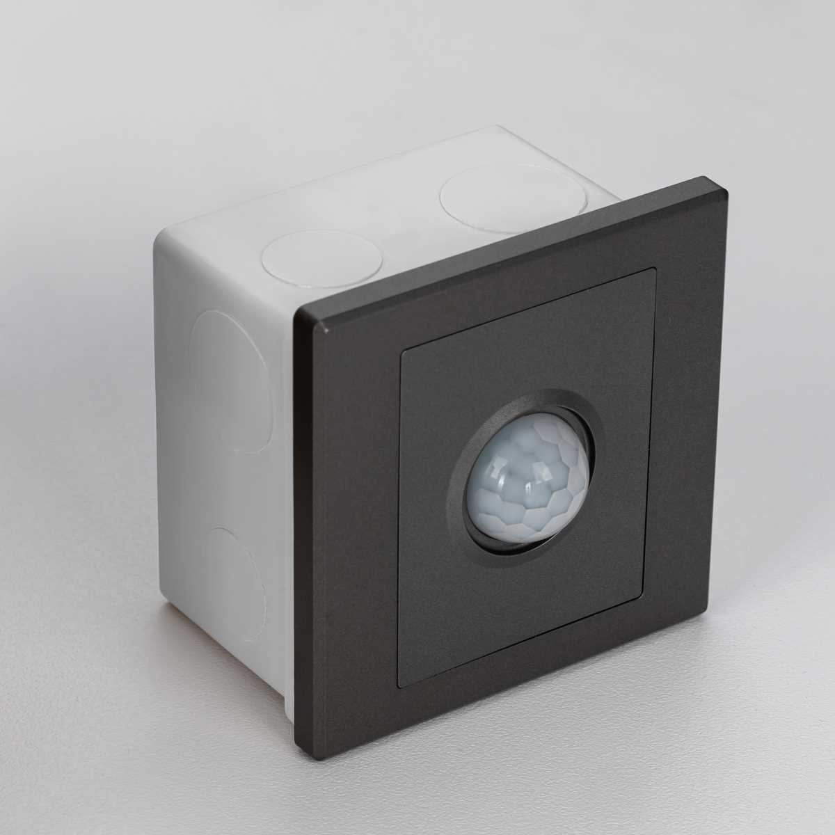 Датчик движения Citilux Скалли CLR005KS1