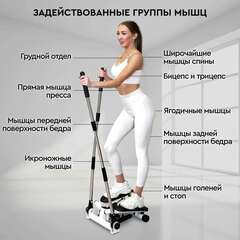 Поворотный мини-степпер с поручнями PLANTA FD-STEP-005
