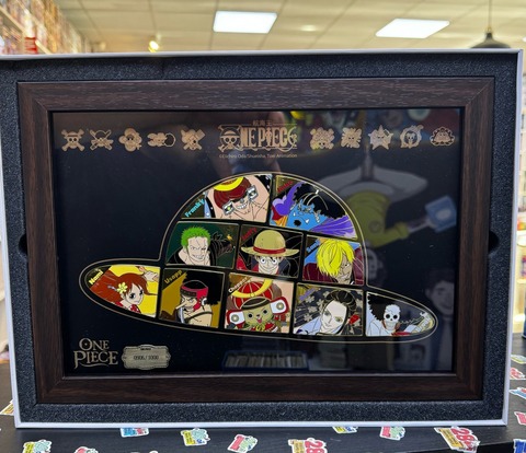One Piece 25th TV Animation Anniversary Framed Pin Set