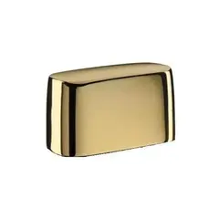 Крышка для шейвера BaByliss Pro FoilFX02 Gold FXFS2GE