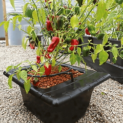 Система капельного полива FLO-GRO 500 16 L 56 x 46 x 28 см Англия