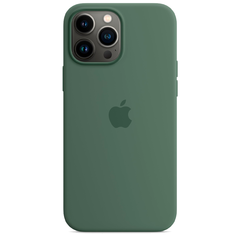 Силиконовый чехол с поддержкой MagSafe Apple Silicone Case для iPhone 13 Pro Max, Eucalyptus (Эвкалипт)