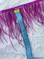 Перо цикломеновое фиолетовое 9-13 см.