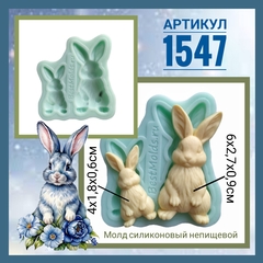 1547 Молд силиконовый 