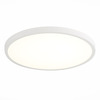 Светильник настенно-потолочный ST Luce ST601.542.32