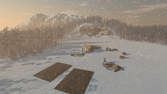 Black Forest (для ПК, цифровой код доступа)