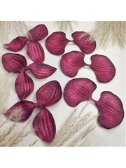 Молд пластиковый Набор 