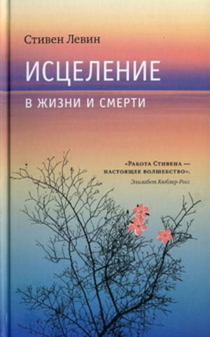 Исцеление в жизни и смерти.   Стивен Левин