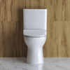 Унитаз-компакт безободковый BelBagno STEAM BB130CPR + BB130T