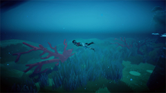 RiME (для ПК, цифровой код доступа)