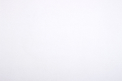 Микровелюр Zenit (Зенит) 02 bone