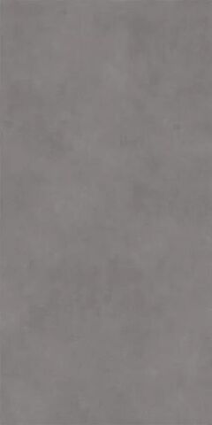 Bien Seramik Concept Grey 60x120