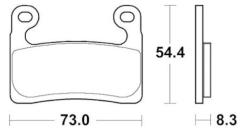 AGPA252ZXC Тормозные колодки дисковые мото Accossato (FDB2321)