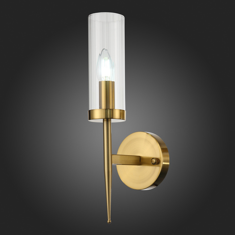Светильник настенный ST Luce Acazio SL1159.301.01