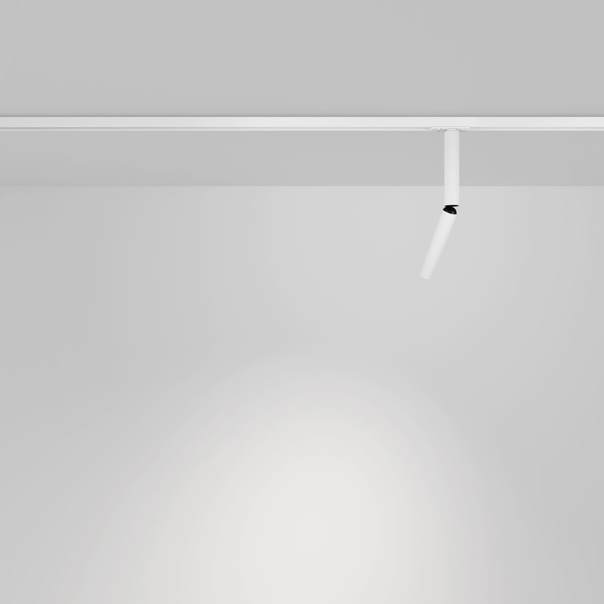 Трековый светодиодный светильник Maytoni Technical Focus T TR142-1-6W4K-W