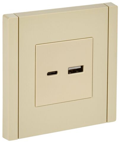 FORTE&PIANO Роз. USB A+C 18Вт FP451 ван. IEK