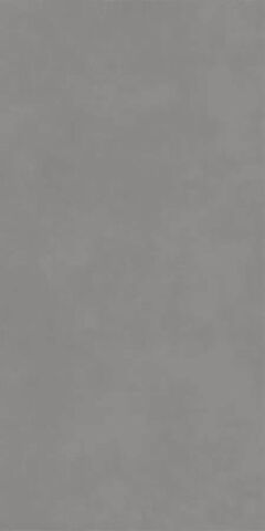 Bien Seramik Concept Light Grey 60x120