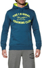 Толстовка Asics Graphic Hoodie мужская