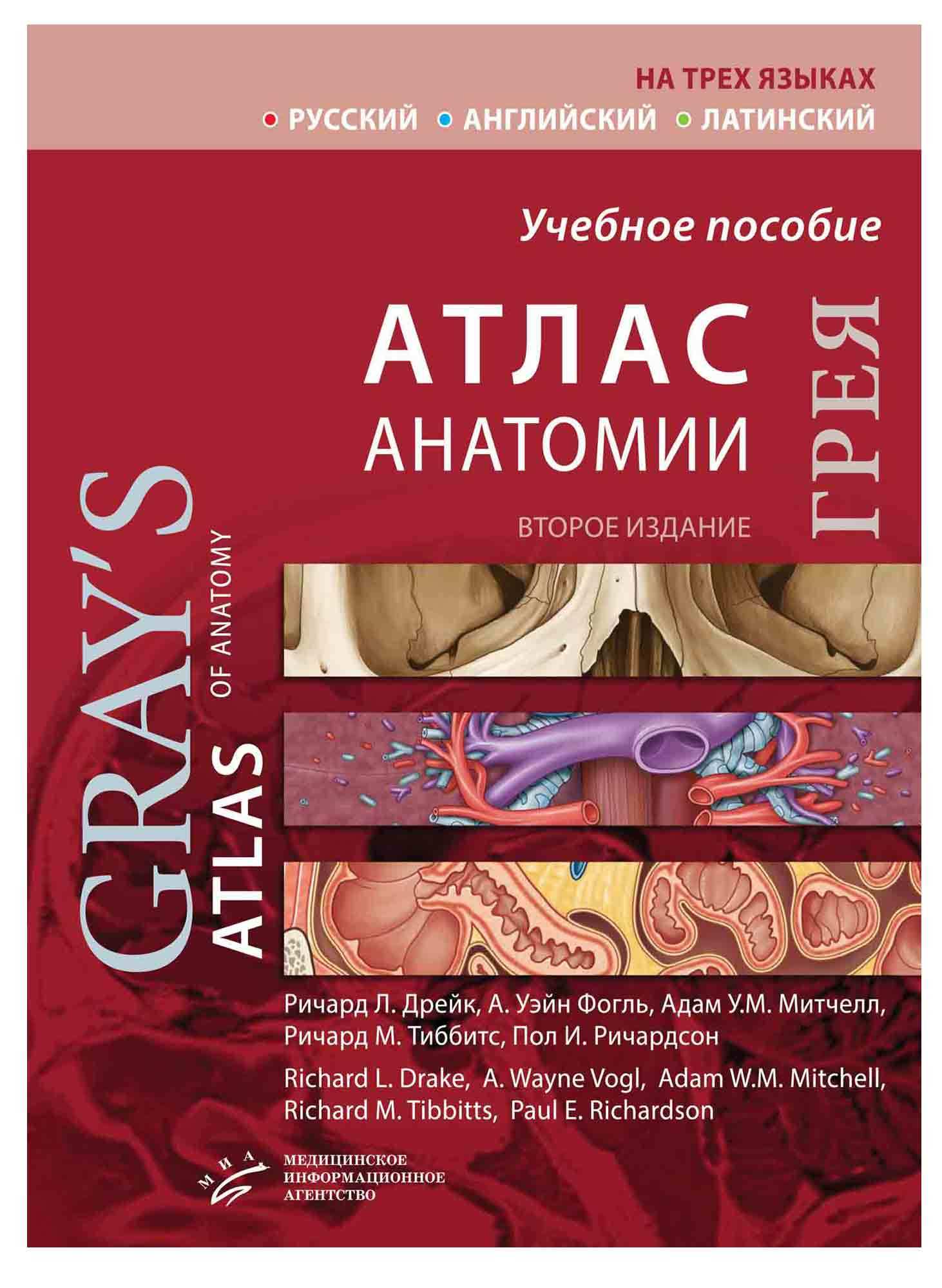 Книги по мануальной терапии Атлас анатомии Грея (Грэя)(на трех языках) grey2020.jpg