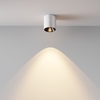 Потолочный светильник Maytoni Alfa led C064CL-5W3K-RD-WB