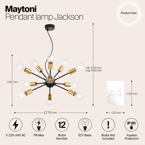 Подвесной светильник Maytoni Jackson T546PL-12B