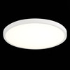 Светильник настенно-потолочный ST Luce ST601.542.32