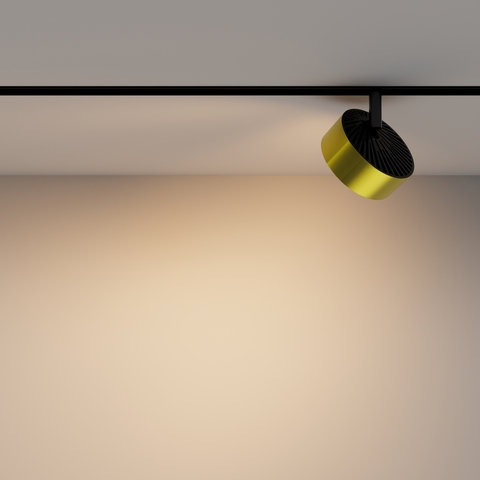 Магнитный трековый светильник Maytoni Rado TR040-2-18W3K-BBS