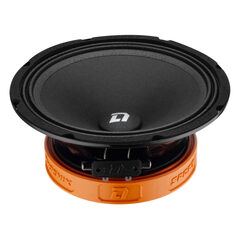 DL Audio Phoenix Sport 200 | Эстрадная акустика 20 см. (8")