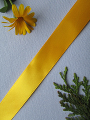 Лента атласная, ш. 2,5 см, 17 янтарный