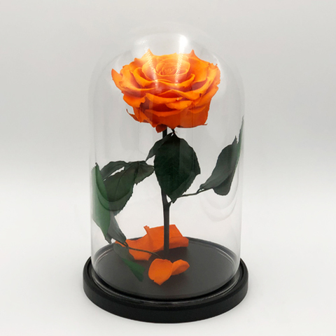 Вечная роза в стеклянной колбе оранжевая (Люкс)