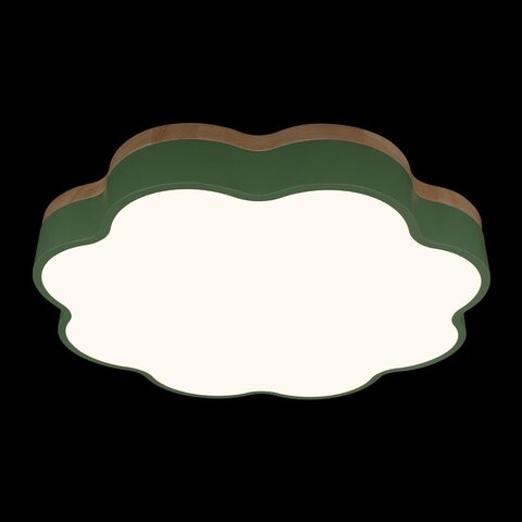 Потолочный светодиодный светильник Loft It Axel 10225/36 Green