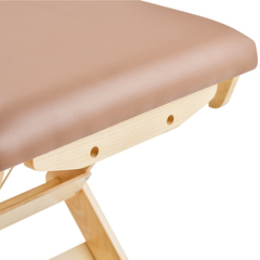 Массажный стационарный стол Mizomed Boast-Tilt SBT1S30