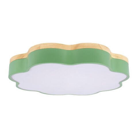 Потолочный светодиодный светильник Loft It Axel 10225/36 Green