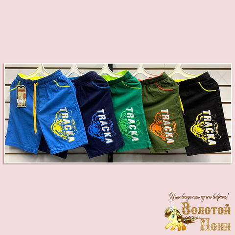 Шорты подрост м (10-14) 250416-S-2305