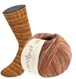 Пряжа Lana Grossa Landlust die Sockenwolle IV 811