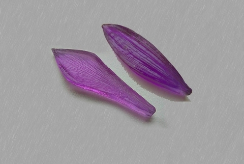 Молд Лепестки Хризантемы набор 2 шт жесткий акрил