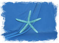 Морская звезда "Фингер" (Finger) 15-20 см. синяя