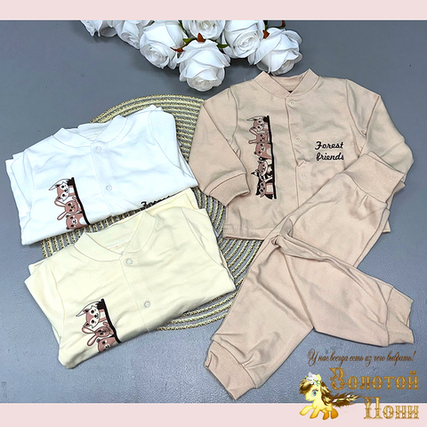 Комплект хлопок/инт (74-86) 241108-G4027