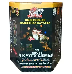 В КРУГУ СЕМЬИ